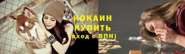 хмурый Козловка