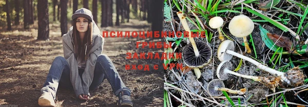 хмурый Козловка