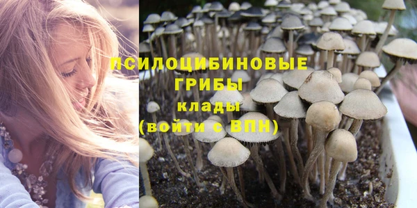 хмурый Козловка
