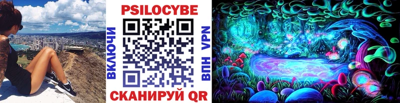 Галлюциногенные грибы ЛСД  Купить где  Бабушкин 