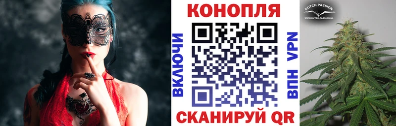 Конопля планчик  Купить закладки  Бабушкин 
